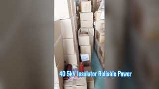 Uno sguardo più da vicino: Boccole del beccuccio con protezione isolante in resina epossidica ad alta tensione da 40,5 kV, altezza 660 mm