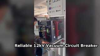 Presentiamo per voi l'interruttore automatico sottovuoto per interni ad alta tensione da 12 kV montato lateralmente 630A-1250A