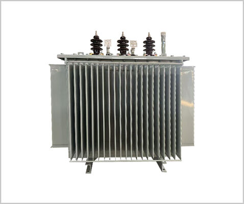 11kv/800kVA Trasformatore di potenza a tre fasi immerso in olio